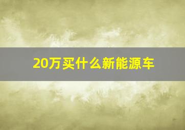 20万买什么新能源车