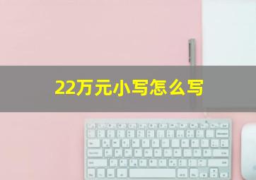 22万元小写怎么写