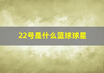 22号是什么篮球球星