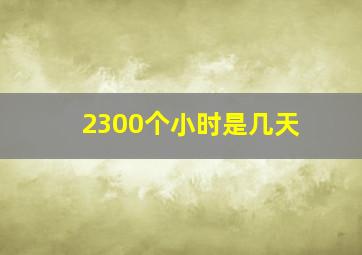 2300个小时是几天