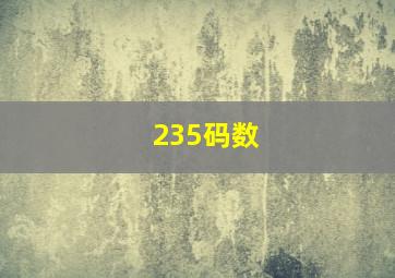 235码数