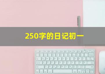 250字的日记初一