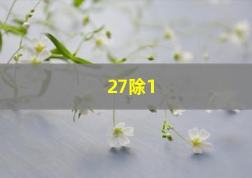 27除1