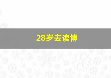 28岁去读博