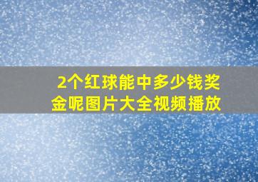 2个红球能中多少钱奖金呢图片大全视频播放