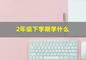 2年级下学期学什么