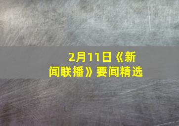 2月11日《新闻联播》要闻精选