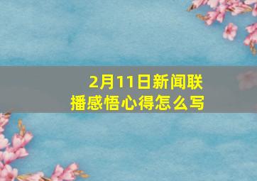 2月11日新闻联播感悟心得怎么写