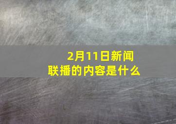 2月11日新闻联播的内容是什么