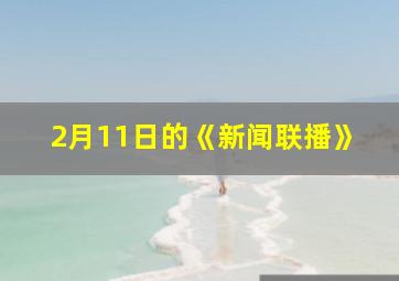 2月11日的《新闻联播》