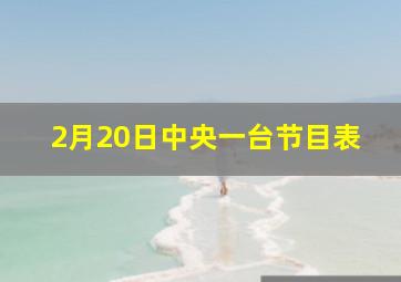 2月20日中央一台节目表