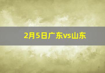 2月5日广东vs山东