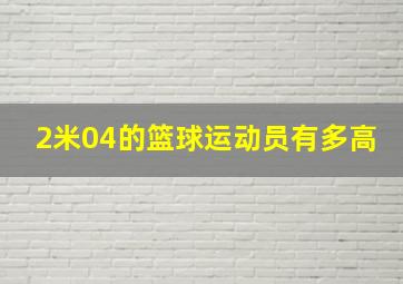 2米04的篮球运动员有多高