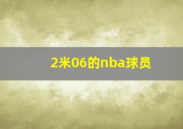 2米06的nba球员