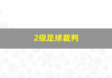 2级足球裁判