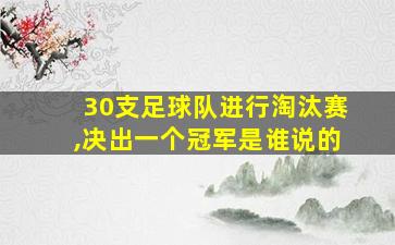 30支足球队进行淘汰赛,决出一个冠军是谁说的