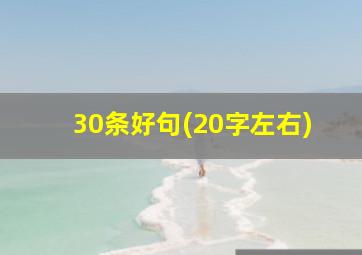 30条好句(20字左右)