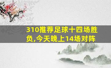 310推荐足球十四场胜负,今天晚上14场对阵