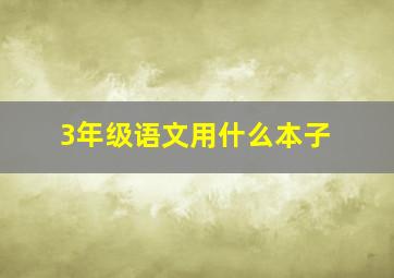 3年级语文用什么本子