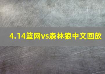 4.14篮网vs森林狼中文回放