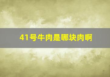 41号牛肉是哪块肉啊