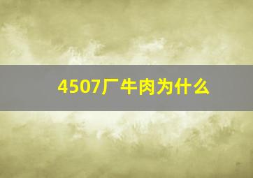 4507厂牛肉为什么