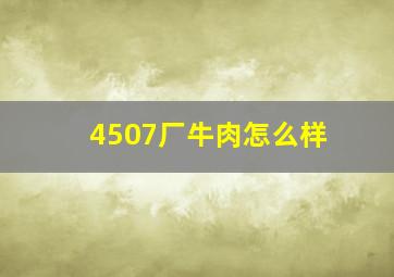 4507厂牛肉怎么样