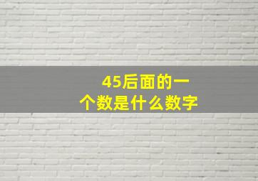 45后面的一个数是什么数字