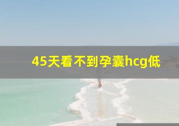 45天看不到孕囊hcg低