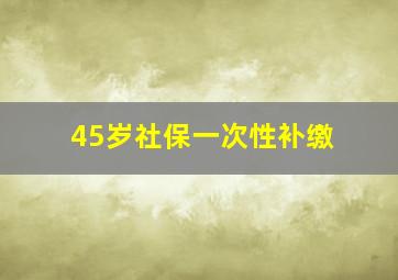 45岁社保一次性补缴