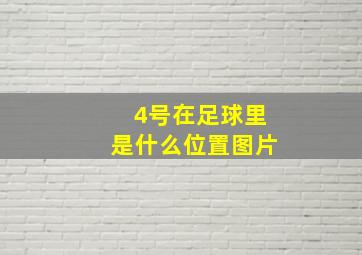 4号在足球里是什么位置图片