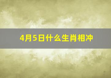 4月5日什么生肖相冲