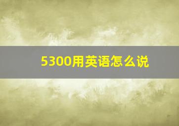 5300用英语怎么说