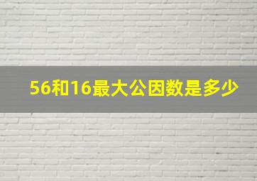 56和16最大公因数是多少