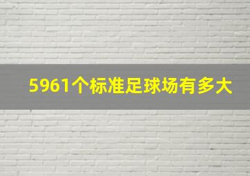 5961个标准足球场有多大