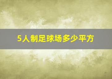 5人制足球场多少平方