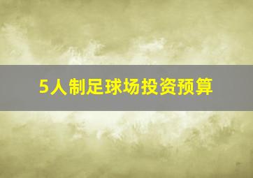 5人制足球场投资预算