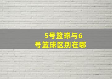 5号篮球与6号篮球区别在哪