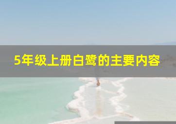 5年级上册白鹭的主要内容