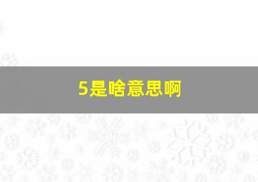 5是啥意思啊