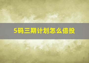 5码三期计划怎么倍投