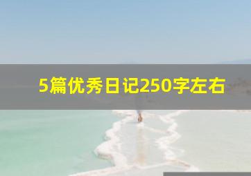 5篇优秀日记250字左右