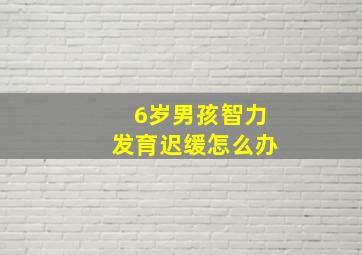 6岁男孩智力发育迟缓怎么办