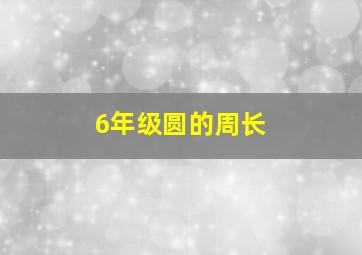 6年级圆的周长