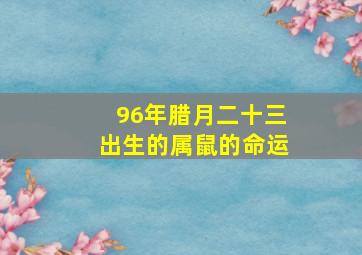 96年腊月二十三出生的属鼠的命运