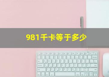 981千卡等于多少