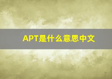 APT是什么意思中文