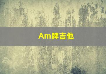 Am牌吉他