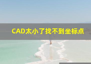 CAD太小了找不到坐标点