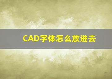 CAD字体怎么放进去